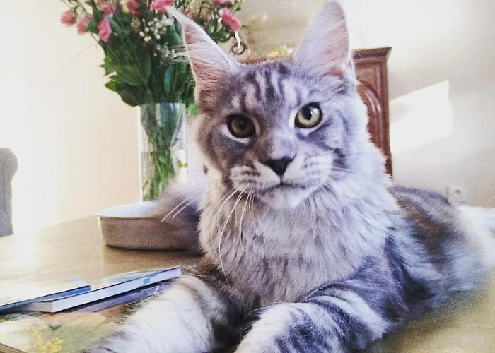 Hotel Galla Placidia 3*